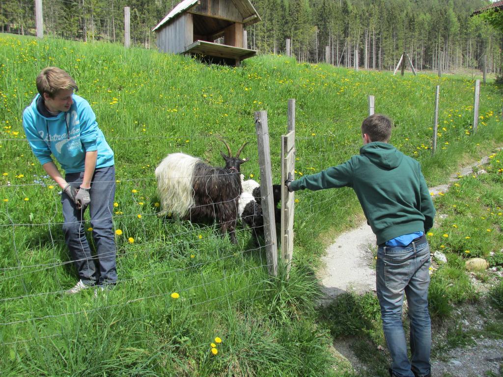 Appartement Zum Roessl Ramsau am Dachstein Eksteriør bilde