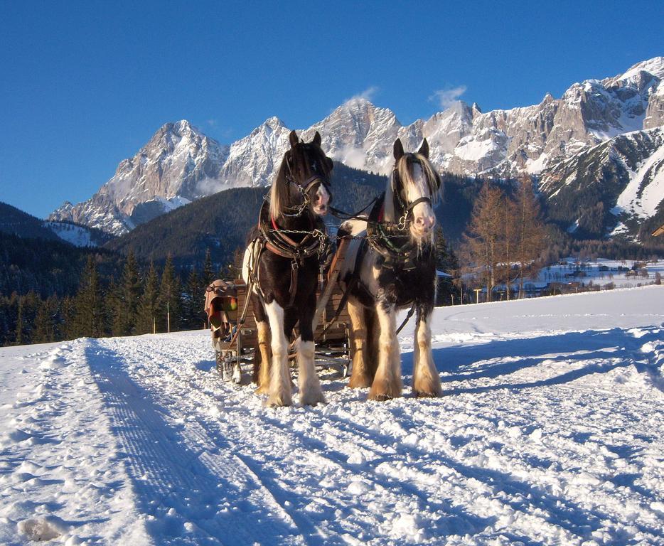 Appartement Zum Roessl Ramsau am Dachstein Eksteriør bilde